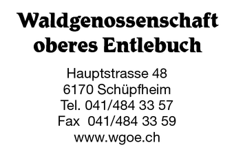 Vorlage wählen: 2449